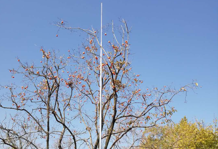 滁州避雷檢修專家 滁州避雷檢修專家